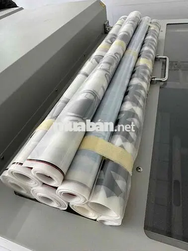 NHÂN VIÊN VẬN HÀNH MÁY IN PET DTF - BÌNH TÂN