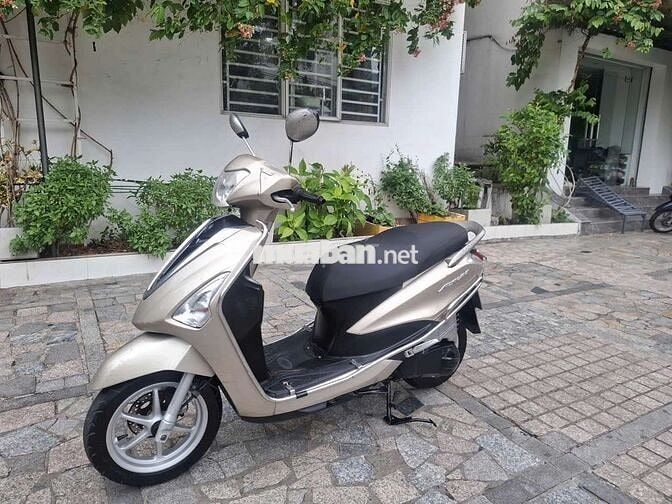 Yamaha Acruzo ngyyên gin