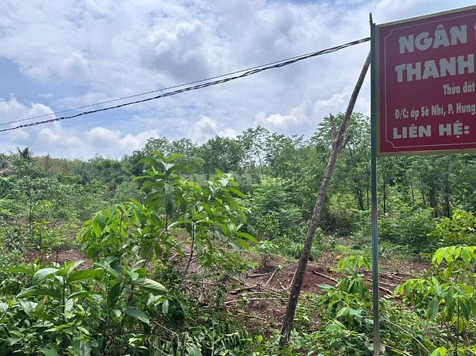 CÔNG TY ĐẤU GIÁ HỢP DANH MINH PHÁP THÔNG BÁO ĐẤU GIÁ TÀI SẢN