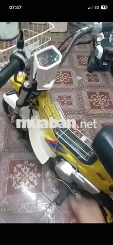 Honda Chaly 50cc Vàng
