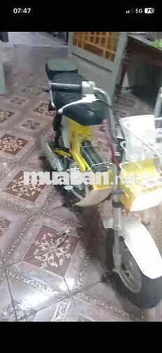 Honda Chaly 50cc Vàng
