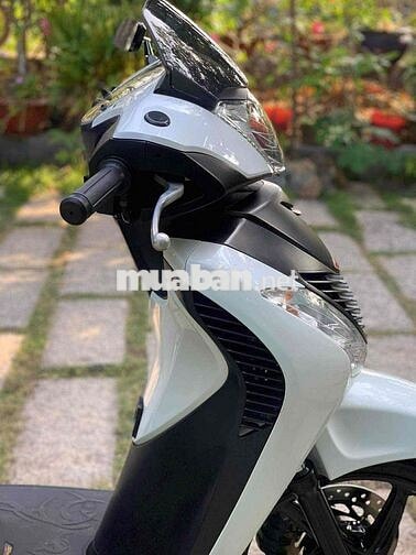 Honda SH 150 Ý 2010 Trắng