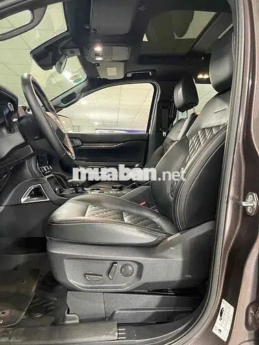 Ford Everest Platinum 2024 41.000km Nâu
