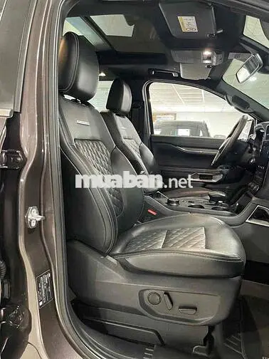Ford Everest Platinum 2024 41.000km Nâu
