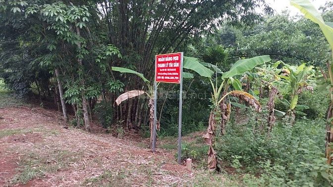  CÔNG TY ĐẤU GIÁ HỢP DANH MINH PHÁP THÔNG BÁO ĐẤU GIÁ TÀI SẢN