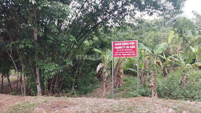  CÔNG TY ĐẤU GIÁ HỢP DANH MINH PHÁP THÔNG BÁO ĐẤU GIÁ TÀI SẢN