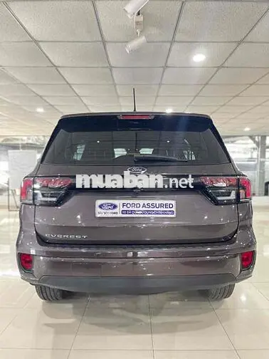 Ford Everest Platinum 2024 41.000km Nâu