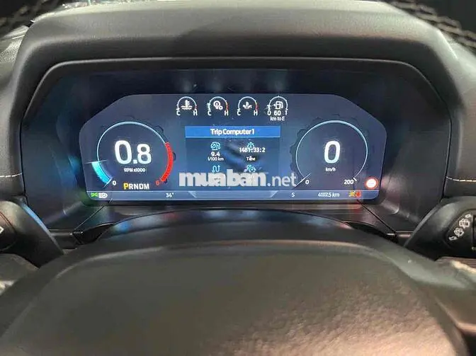 Ford Everest Platinum 2024 41.000km Nâu