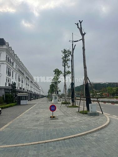 Bán nhà Biệt Thự Phố mặt đường 60m dự án Avenue Garden đường Tây Thăng
