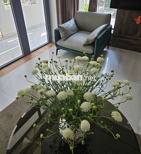 Nhà Nguyên Căn Sân Vườn Gần Ngã 3 Huế | Yên Tĩnh | Cực Chill