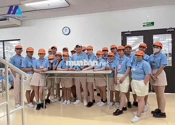 🛑🛑TUYỂN NAM NỮ ĐIỆN TỬ HỖ TRỢ TRỌ-XE ĐƯA ĐÓN