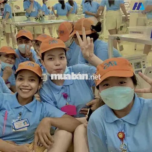🛑🛑TUYỂN NAM NỮ ĐIỆN TỬ HỖ TRỢ TRỌ-XE ĐƯA ĐÓN