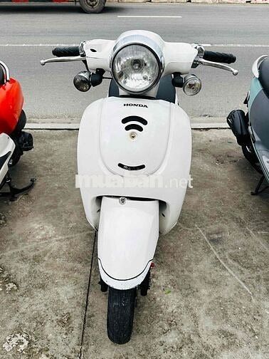 Honda Trắng fiGiormo