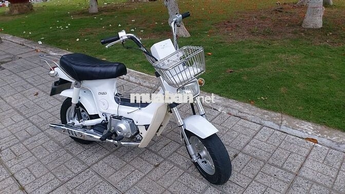 Honda Chaly Việt Thái Trắng