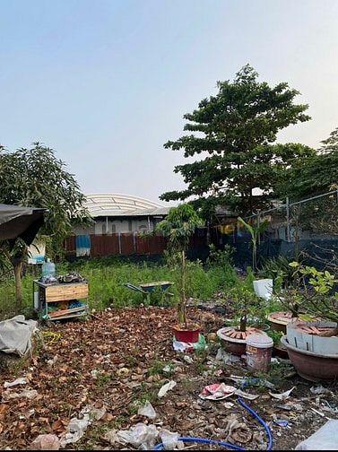 Cần tiền bán gấp đất xã bình hưng huyện bình chánh Q8