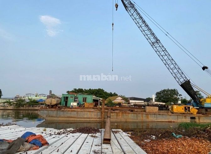Cần tiền bán gấp đất xã bình hưng huyện bình chánh Q8