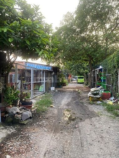 Cần tiền bán gấp đất xã bình hưng huyện bình chánh Q8