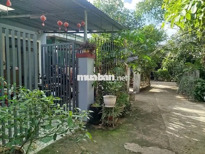 Bán nhà cấp 4 khu chợ Miếu Bông