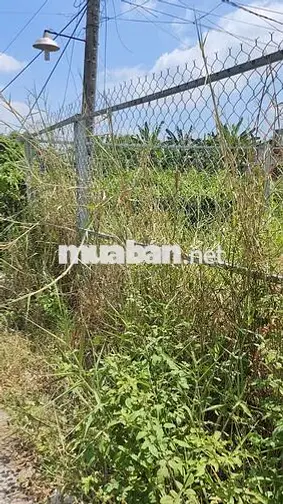 Chủ gửi bán lô đất gần cầu Tân Quý,An Phú Tây giá chỉ 1 tỷ 100tr/128m2