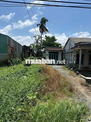 BÁN ĐẤT NGAY CHỢ ĐẦU MỐI BÌNH ĐIỀN, KDC AN PHÚ TÂY, BÌNH CHÁNH