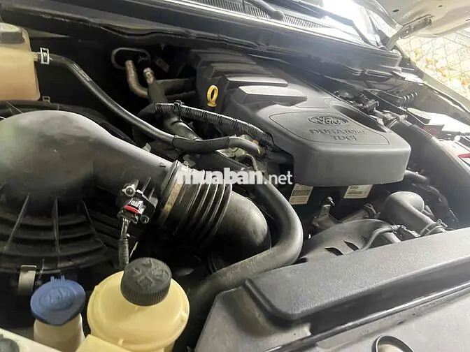 Ford Ranger Wildtrak Số tự động Diesel Trắng