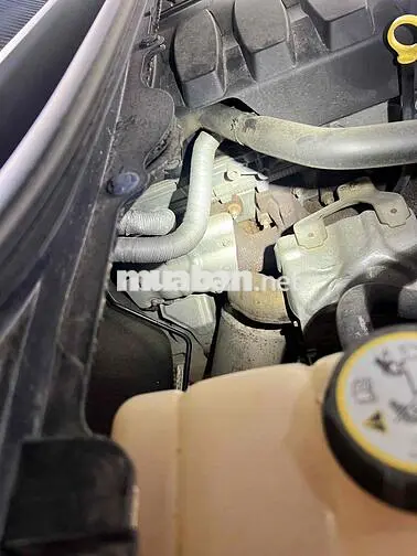 Ford Ranger Wildtrak Số tự động Diesel Trắng