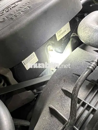 Ford Ranger Wildtrak Số tự động Diesel Trắng
