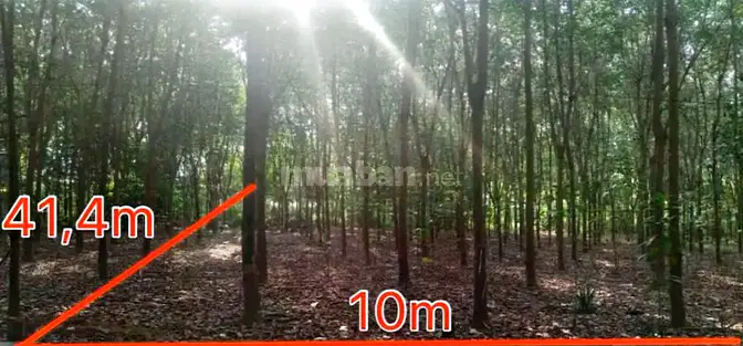 Công ty Đấu giá hợp danh Lam Sơn Sài Gòn thông báo đấu giá tài sản