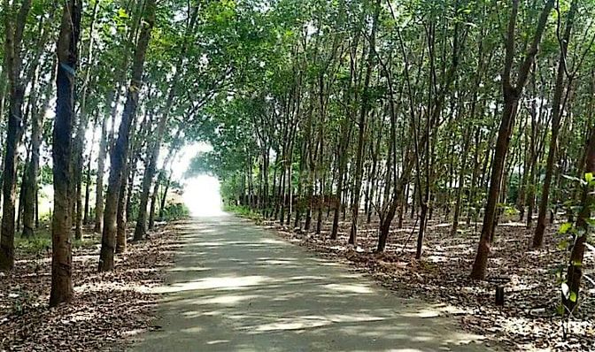 Công ty Đấu giá hợp danh Lam Sơn Sài Gòn thông báo đấu giá tài sản