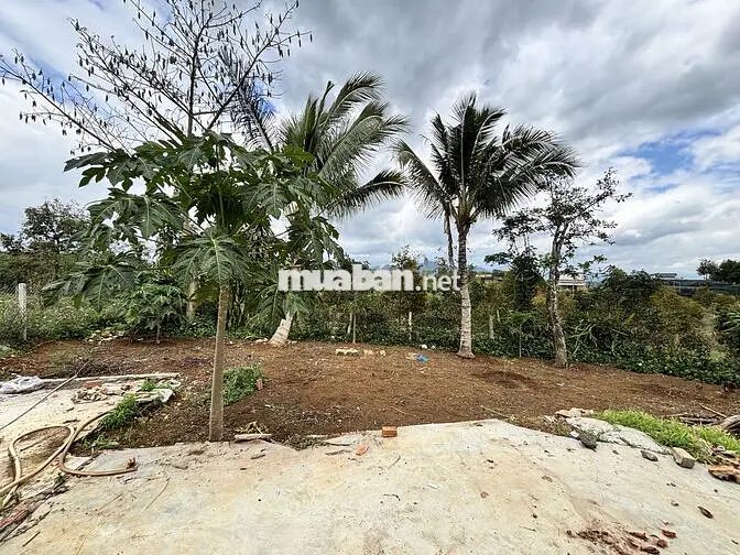 Bán đất và nhà ở Bảo Lâm, Lâm Đồng