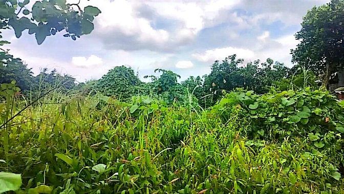 Công ty Đấu giá hợp danh Lam Sơn Sài Gòn thông báo đấu giá tài sản