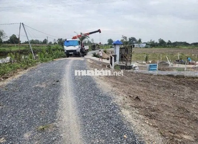 500m² Bình Đức – Đường đá 6m – Gần ĐT 816, Vành đai 4
