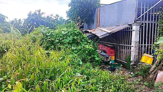 Công ty Đấu giá hợp danh Lam Sơn Sài Gòn thông báo đấu giá tài sản