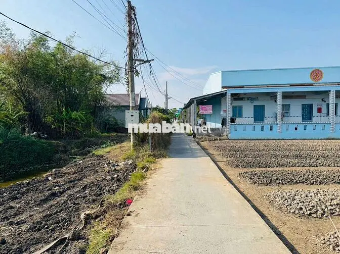 Đất Full Thổ Cư Sổ Hồng Riêng Xây Dựng Tự Do Giá Rẻ Cần Giuộc