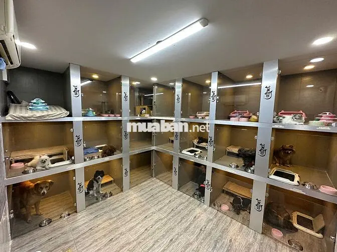 TUYỂN 02 NHÂN VIÊN NAM/NỮ SPA THÚ CƯNG