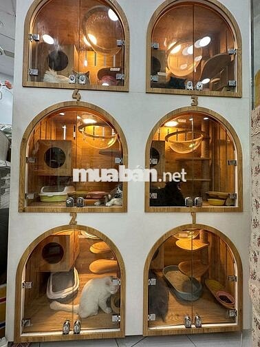 TUYỂN 02 NHÂN VIÊN NAM/NỮ SPA THÚ CƯNG