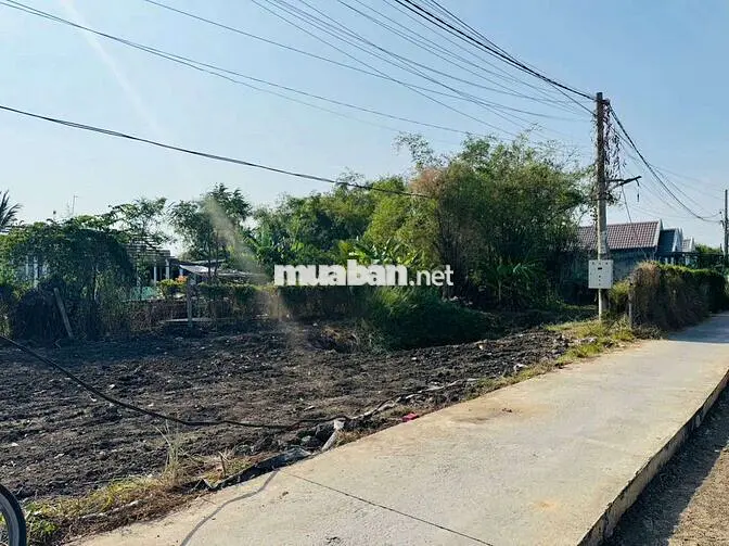 Đất Full Thổ Cư Sổ Hồng Riêng Xây Dựng Tự Do Giá Rẻ Cần Giuộc