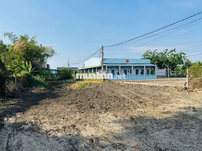 Đất Full Thổ Cư Sổ Hồng Riêng Xây Dựng Tự Do Giá Rẻ Cần Giuộc