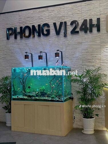 NHÀ HÀNG LẨU PHONG VỊ 24H TUYỂN NHÂN VIÊN – THU NH