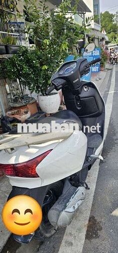 Honda Lead 110 2010 Trắng 108cc