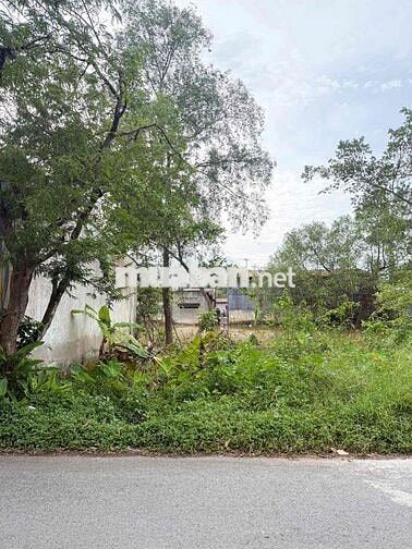 BÁN NỀN MẶT TIỀN ĐƯỜNG ĐINH CÔNG CHÁNH - THUẬN TIỆN KINH DOANH