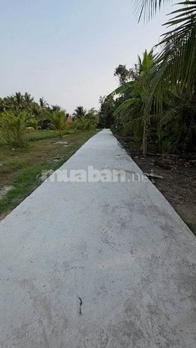 15 NỀN ĐƯỜNG Ô TÔ SÁT LỘ NHỰA LIÊN HỒNG AN THẠNH THỦY GIÁ TỪ 270 TRIỆU