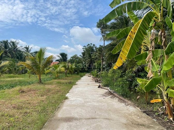 15 NỀN ĐƯỜNG Ô TÔ SÁT LỘ NHỰA LIÊN HỒNG AN THẠNH THỦY GIÁ TỪ 270 TRIỆU