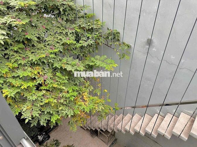 CHDV mảng xanh tách bếp sân thượng riêng full NT phòng siêu rộng