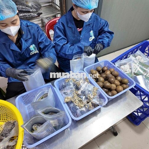Tuyển Lao Động Phổ Thông Cân Nguyên Liệu Đóng gói