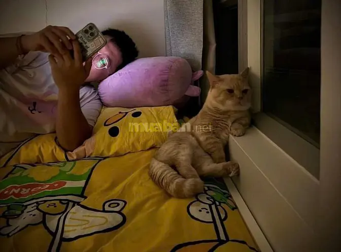 HOT HOT – CHÍNH CHỦ CẦN BÁN CĂN HỘ QUẬN 4 – GIÁ TỐT