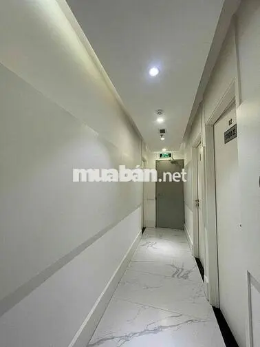 🏢 CHO THUÊ TÒA NHÀ VĂN PHÒNG TRƯƠNG ĐỊNH – QUẬN 3