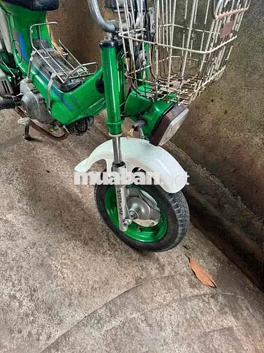 Honda Chaly 81 Xanh lá