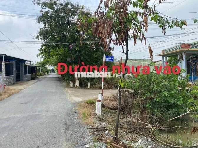 Bán đất full thổ cư 238m2 giá rẻ