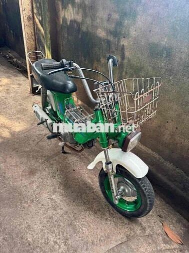 Honda Chaly 81 Xanh lá